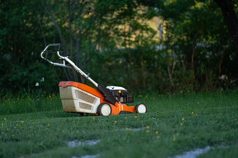 Debroussaillage de terrain